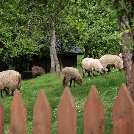 Domek Mysliwski W Gorach Ujsoły 외부 사진
