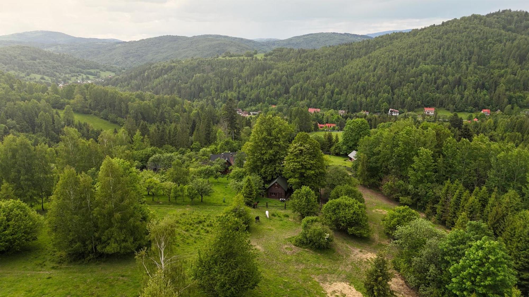 Domek Mysliwski W Gorach Ujsoły 외부 사진